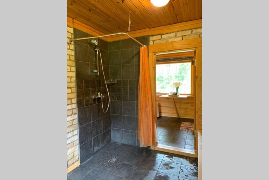Pirtsmaja Villa Marta سيسيس المظهر الخارجي الصورة
